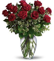 Dozen Roses from Schultz Florists, flower delivery in Chicago